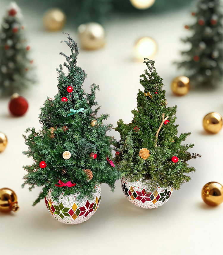 クリスマス限定コース01